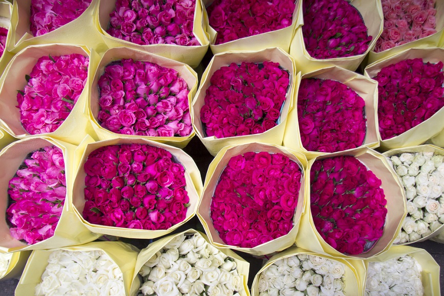 Wholesale Flowers